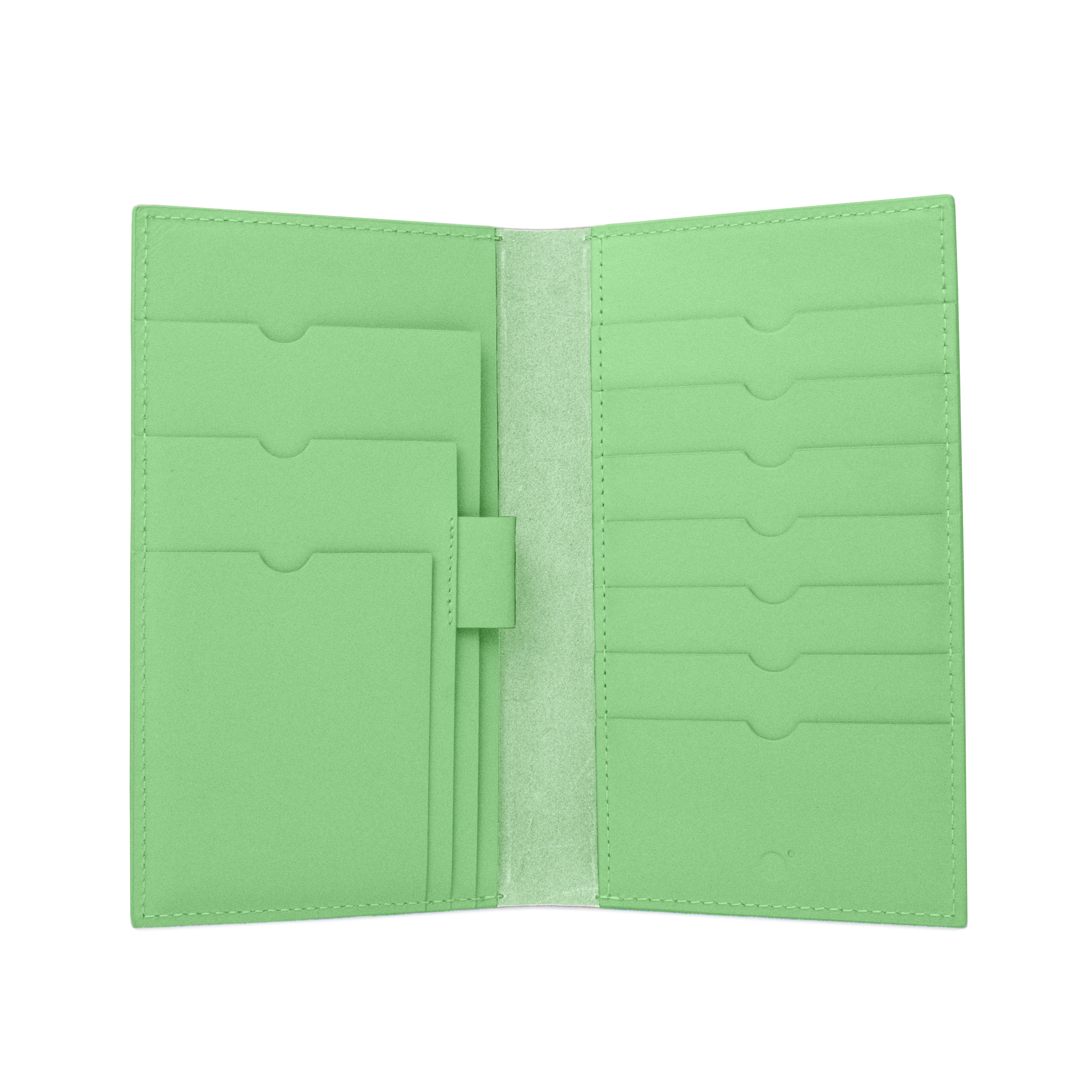 Travel Wallet in Sea Green