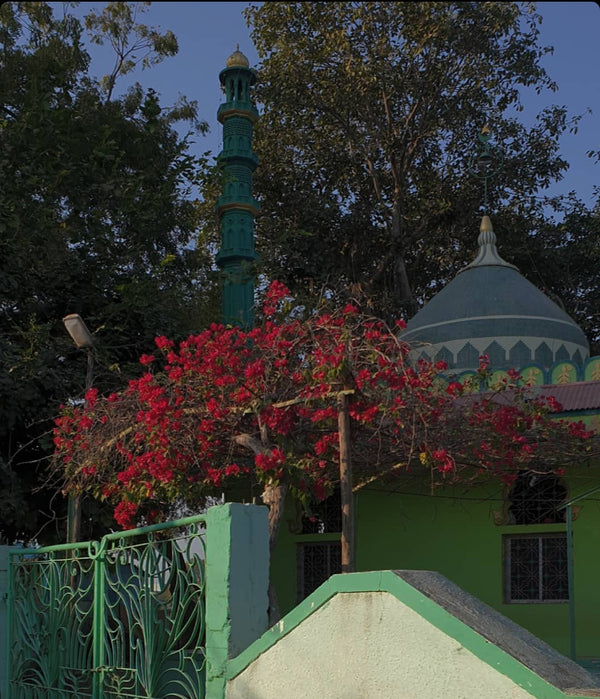 colours of tankaria
