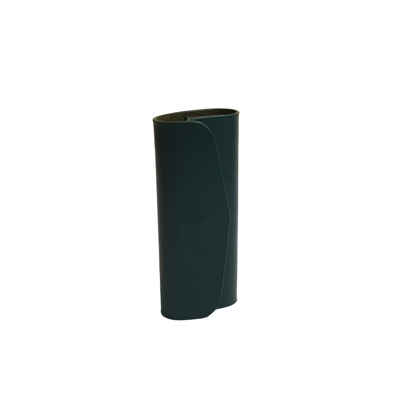 Key Case in Sea Green