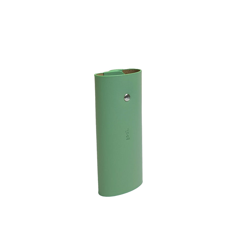 Key Case in Sea Green