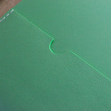 Passport Cover in Sea Green