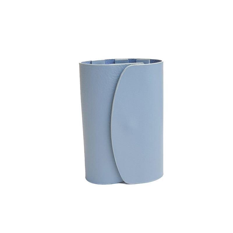 Large Key Case in Ice Blue